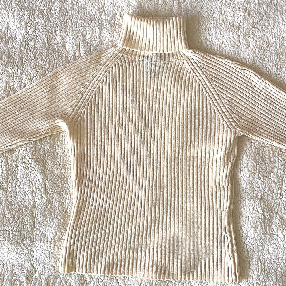 Ann Taylor turtleneck sweater